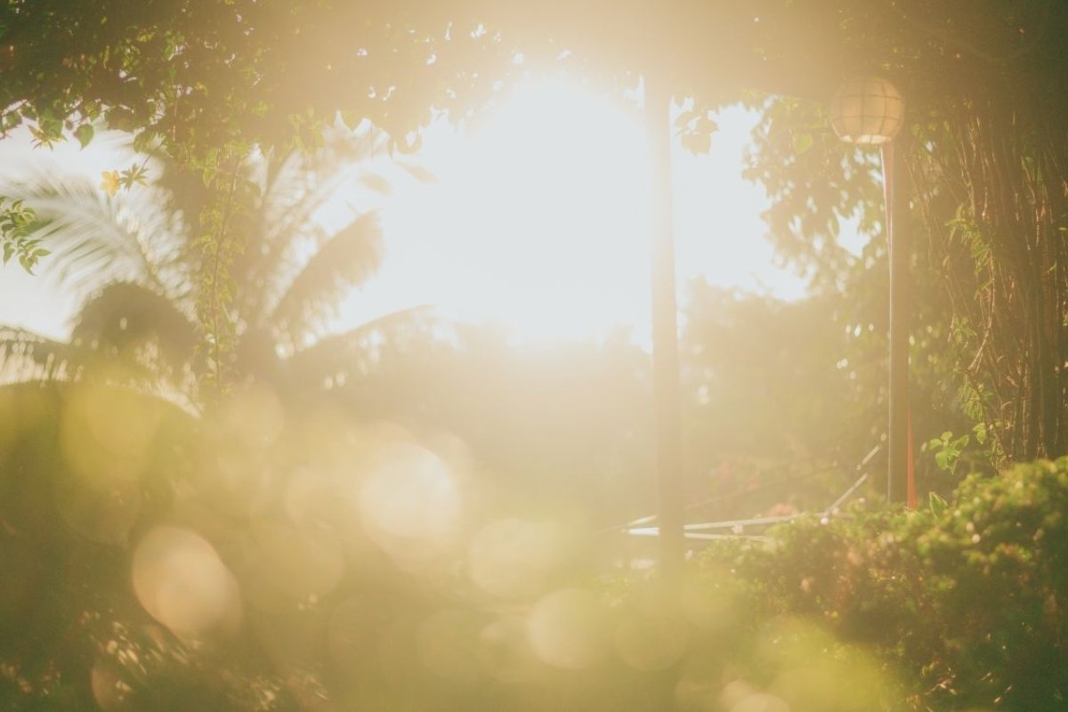 Günümüzde yapı sektöründe yalnızca estetik ve işlevsellik değil, çevreye duyarlılık ve sürdürülebilirlik de en az diğer kriterler kadar önem taşıyor.